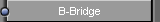 B-Bridge International